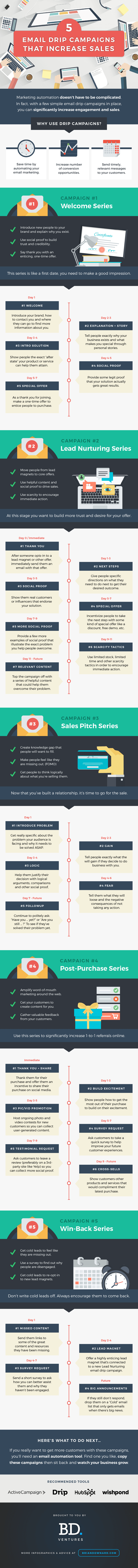 Increase Sales with Email Campaigns Infographic