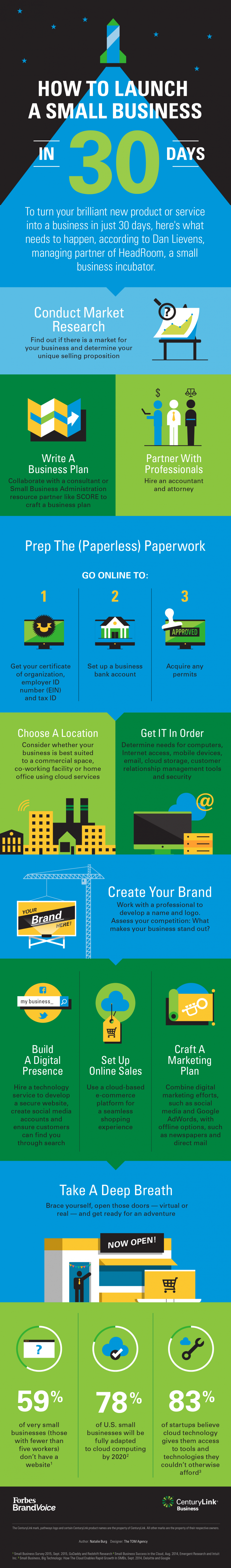 Launch a Business Infographic