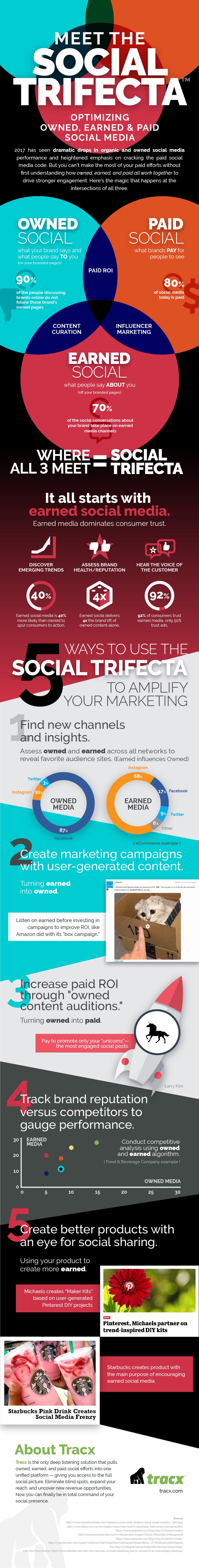 Social Media Strategy Infographic
